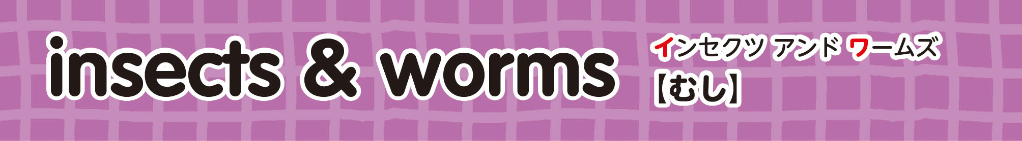 insects & worms むし