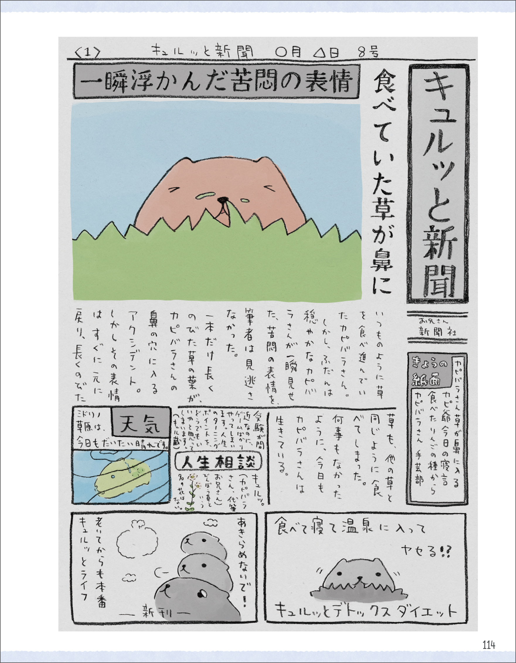 カピバラさんのまいにち 主婦と生活社