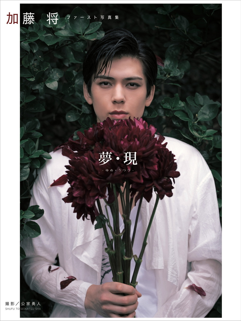 加藤将さん写真集、発売決定! イベントも開催! | 主婦と生活社